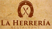 Logo 12